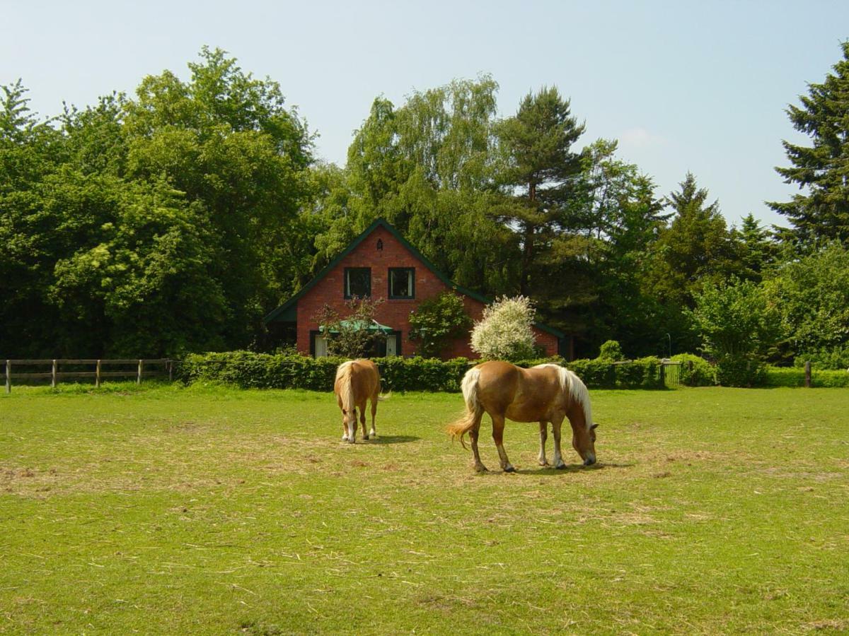Bernard Meyborg Villa Lindern Kültér fotó